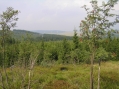 Konigsmuhle, Meluzína a okolí