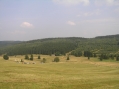 Konigsmuhle, Meluzína a okolí