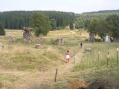 Konigsmuhle, Meluzína a okolí